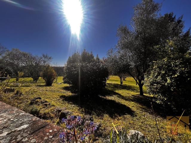 Vente maison 4 pièces, sous sol, terrain 2,5ha 5 minutes d. 145m² Foulayronnes