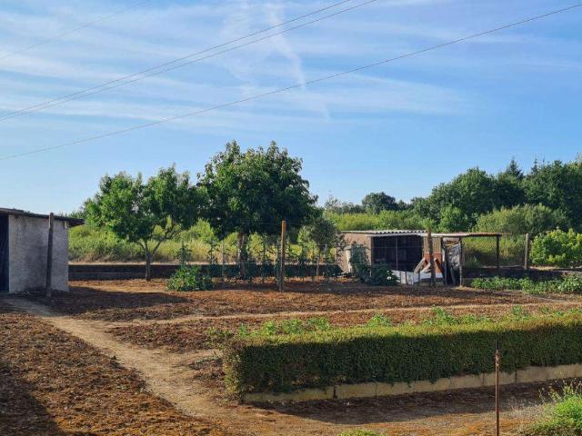 Vente maison 4 pièces Vallet 44