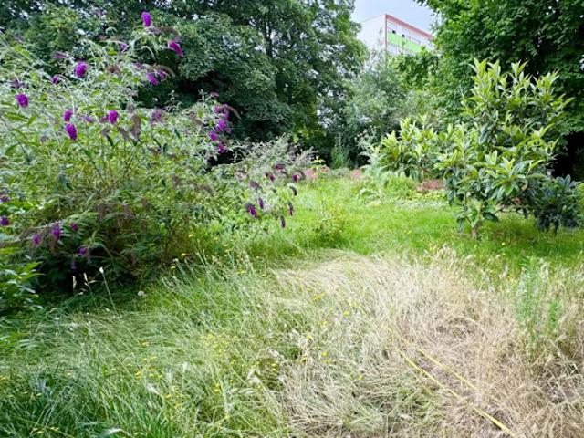Vente Maison 5 pièces 104 m2 Orleans
