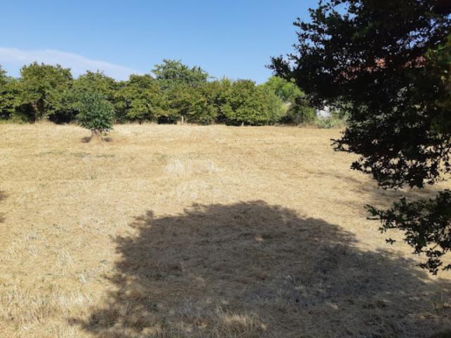 Vente Maison 5 pièces 100 m2 Matha