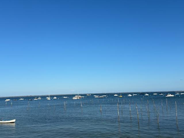 Vente Maison 5 pièces 100 m2 Lège Cap Ferret
