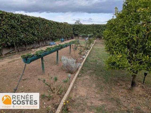 Vente Maison 5 pièces 100 m2 Santa Lucia di Moriani