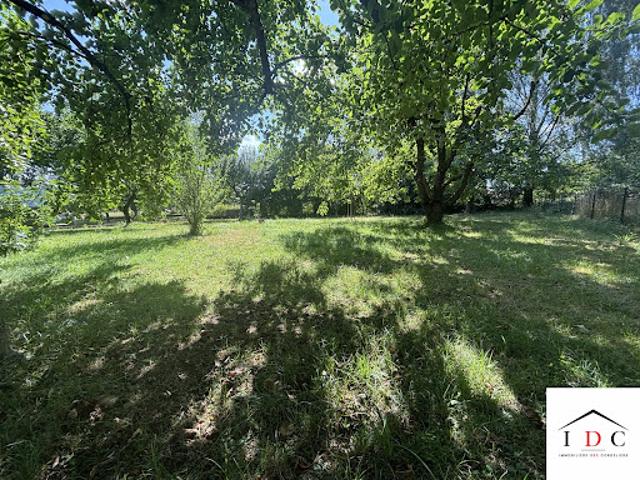 Vente Maison 5 pièces 100 m2 Sarrebourg