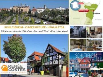 Vente Maison 5 pièces 100 m2 Schiltigheim