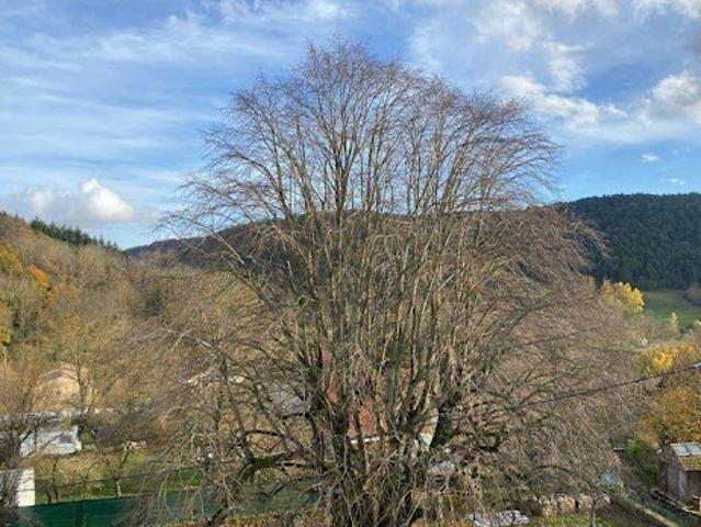 Vente Maison 5 pièces 102 m2 Sauclières