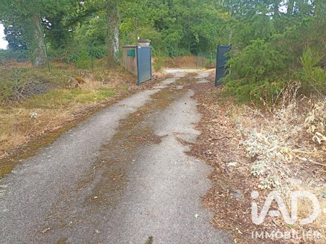 Vente Maison 5 pièces 103 m2 Verneuil sur Vienne