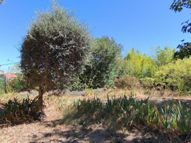 Vente Maison 5 pièces 114 m2 Montpellier