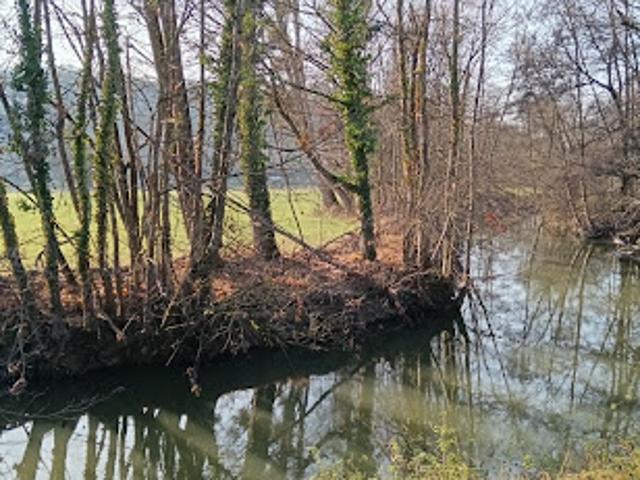 Vente Maison 5 pièces 115 m2 Illfurth