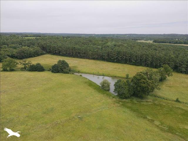 Vente Maison 5 pièces 110 m2 Montguyon