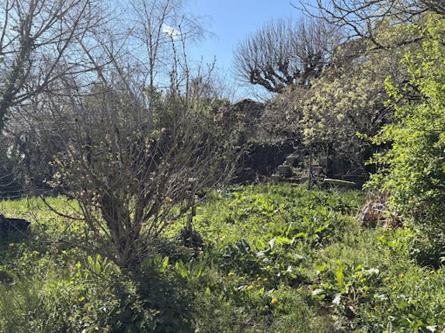 Vente Maison 5 pièces 110 m2 Biron
