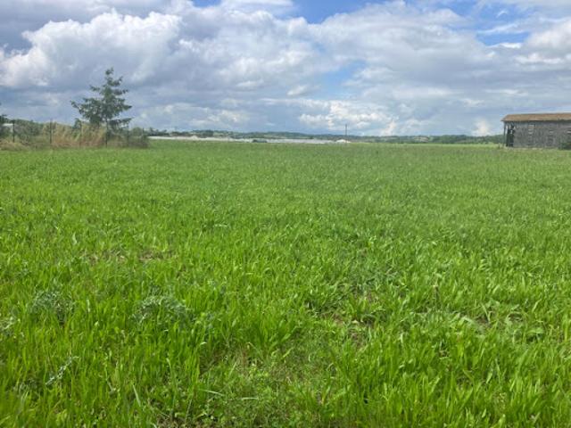 Vente Maison 5 pièces 110 m2 Langon