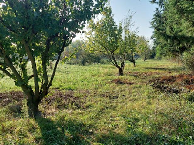 Vente Maison 5 pièces 110 m2 Sénas