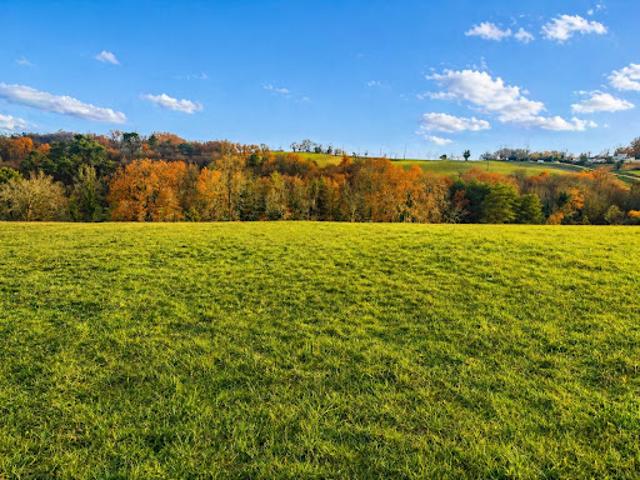 Vente Maison 5 pièces 111 m2 Trélissac