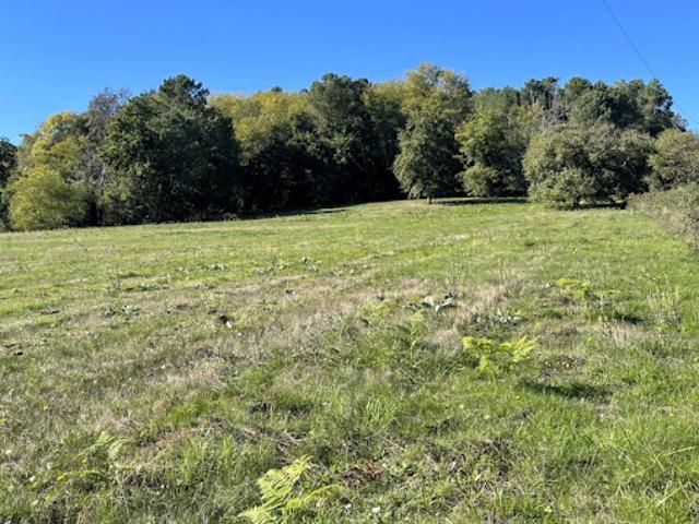 Vente Maison 5 pièces 111 m2 Villamblard