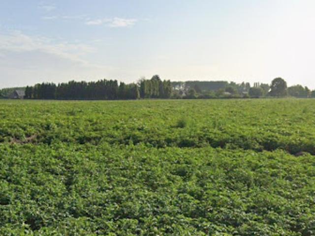 Vente Maison 5 pièces 124 m2 Râches