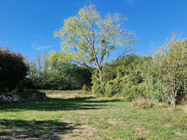 Vente Maison 5 pièces 125 m2 Bellefonds