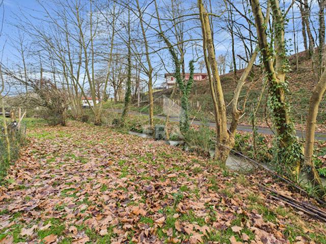Vente Maison 5 pièces 126 m2 Hasparren