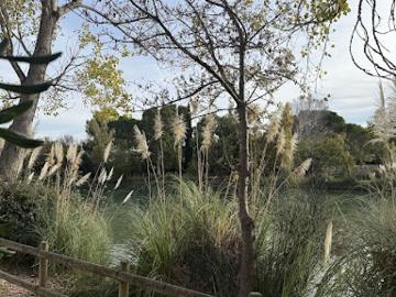 Vente Maison 5 pièces 127 m2 Saint Martin de Crau