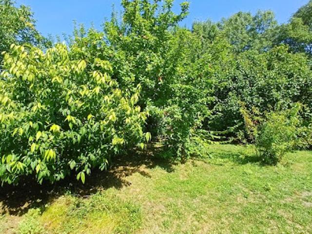 Vente Maison 5 pièces 128 m2 Fouquebrune