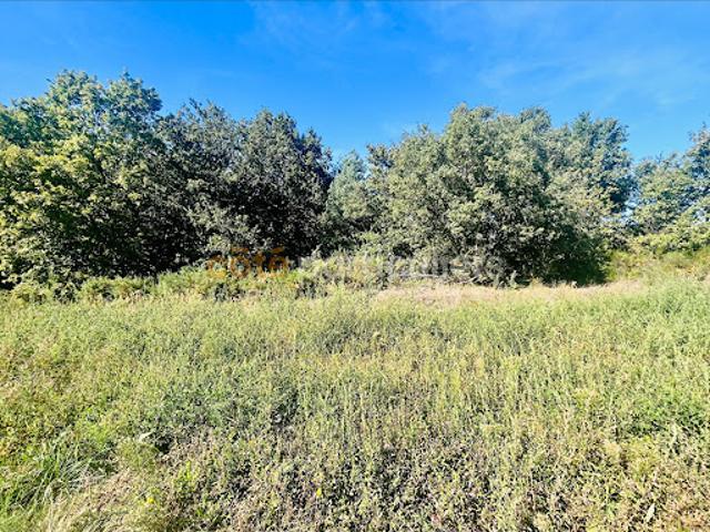 Vente Maison 5 pièces 120 m2 Montbartier