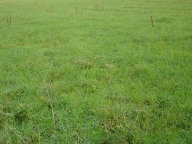 Vente Maison 5 pièces 120 m2 Sarceaux