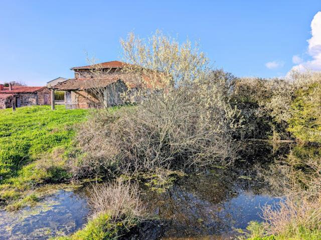 Vente Maison 5 pièces 134 m2 Balbigny