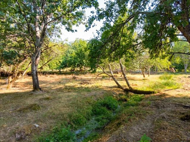 Vente Maison 5 pièces 135 m2 La Roche l'Abeille