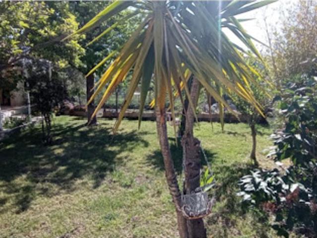 Vente Maison 5 pièces 135 m2 Ventiseri