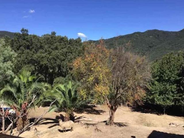 Vente Maison 5 pièces 137 m2 Sartene