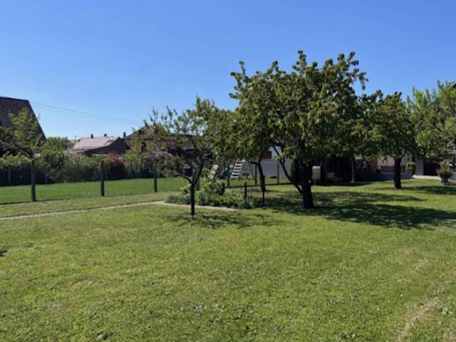 Vente Maison 5 pièces 139 m2 Plobsheim