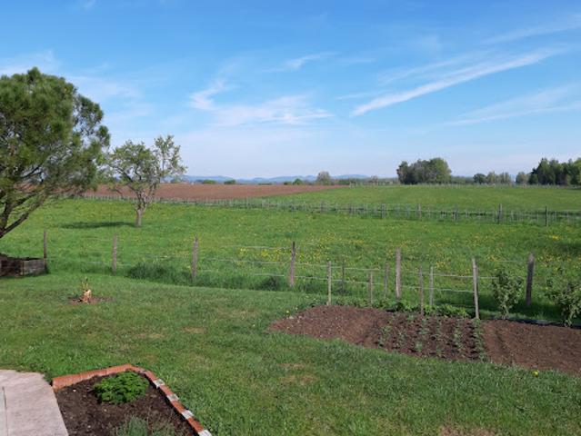 Vente Maison 5 pièces 130 m2 Eschbach
