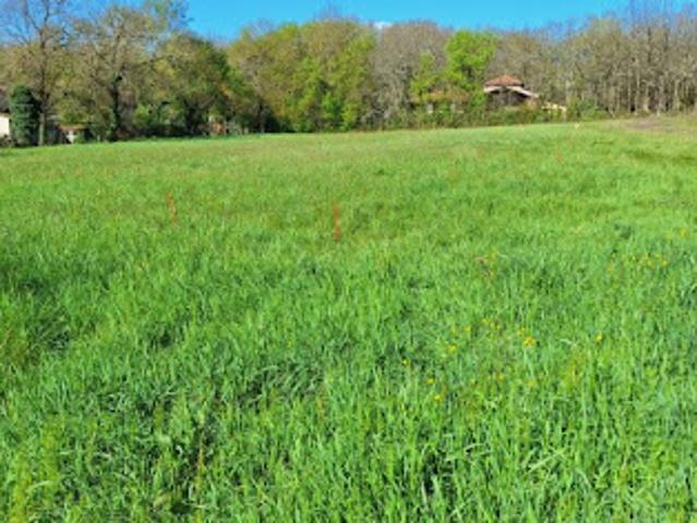 Vente Maison 5 pièces 130 m2 La Salvetat Saint Gilles