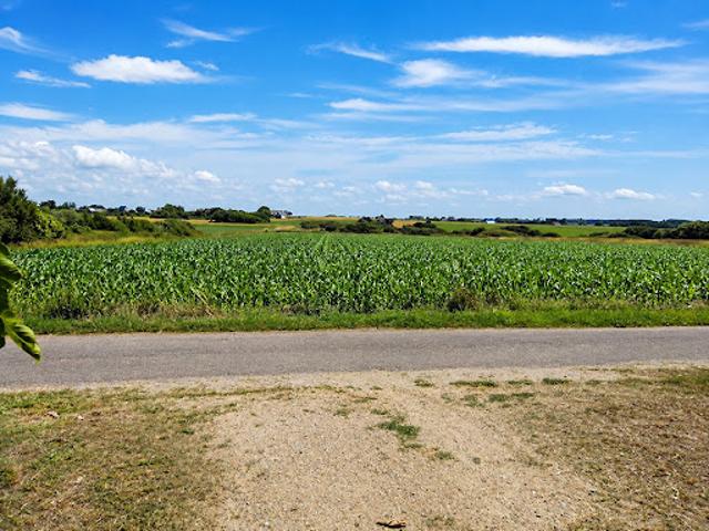 Vente Maison 5 pièces 130 m2 Plozévet