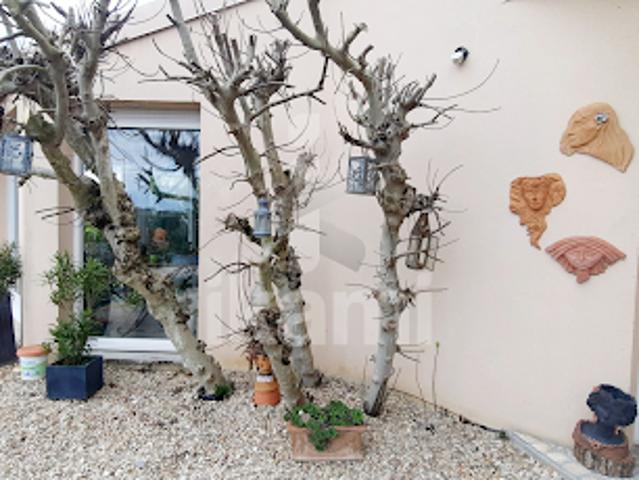 Vente Maison 5 pièces 145 m2 Villefargeau