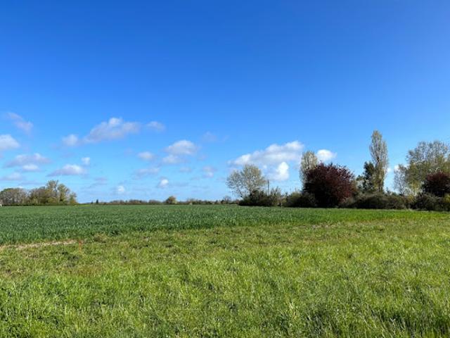 Vente Maison 5 pièces 140 m2 Azay le Rideau