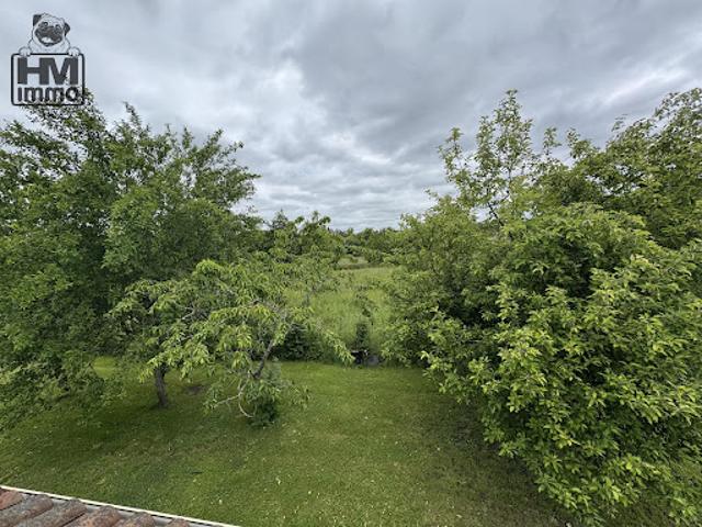 Vente Maison 5 pièces 141.66 m2 Panazol