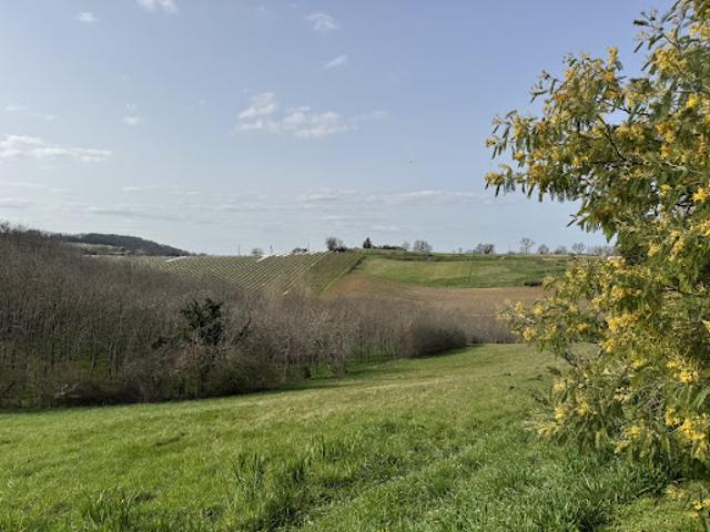 Vente Maison 5 pièces 159 m2 Montesquieu