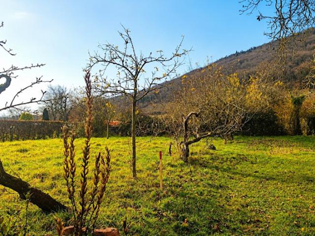Vente Maison 5 pièces 150 m2 Chatenois