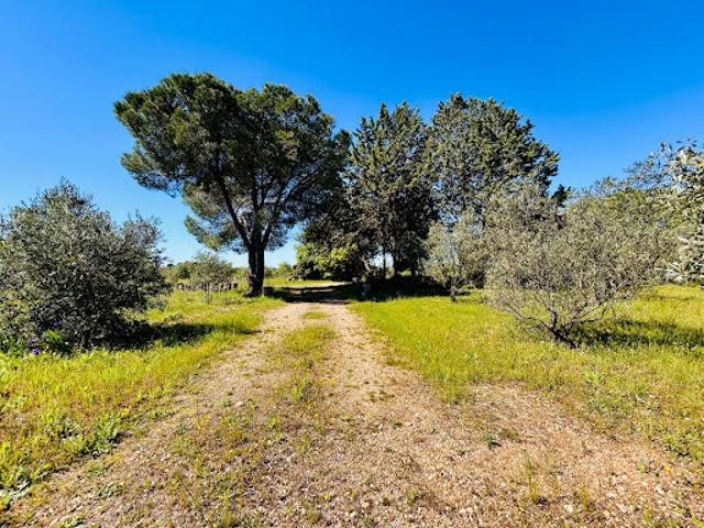 Vente Maison 5 pièces 150 m2 Pezenas