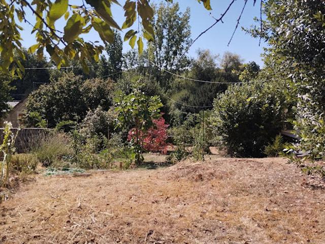 Vente Maison 5 pièces 151 m2 Montreuil Bellay