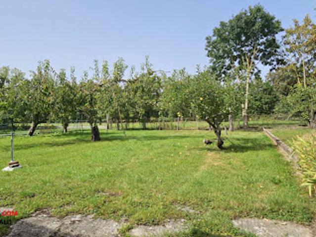 Vente Maison 5 pièces 151 m2 Saligny