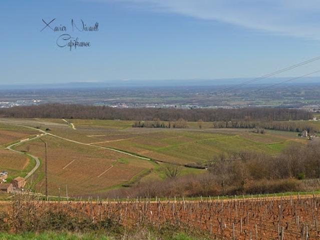 Vente Maison 5 pièces 153 m2 Leynes
