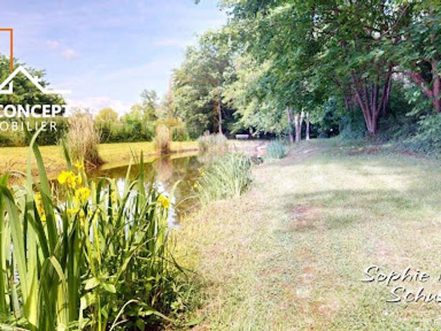 Vente Maison 5 pièces 165.16 m2 Sessenheim