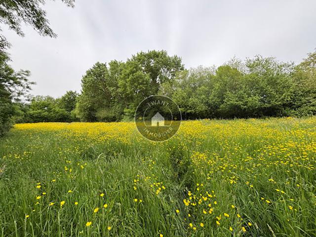 Vente Maison 5 pièces 165.8 m2 Gennes Val de Loire