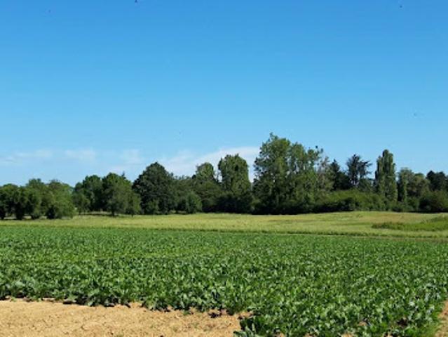 Vente Maison 5 pièces 160 m2 Saint Rémy lès Chevreuse