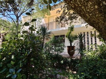 Méditerranée, La Languedocienne Montpellier, Maurin, Hérault, Languedoc-Roussillon