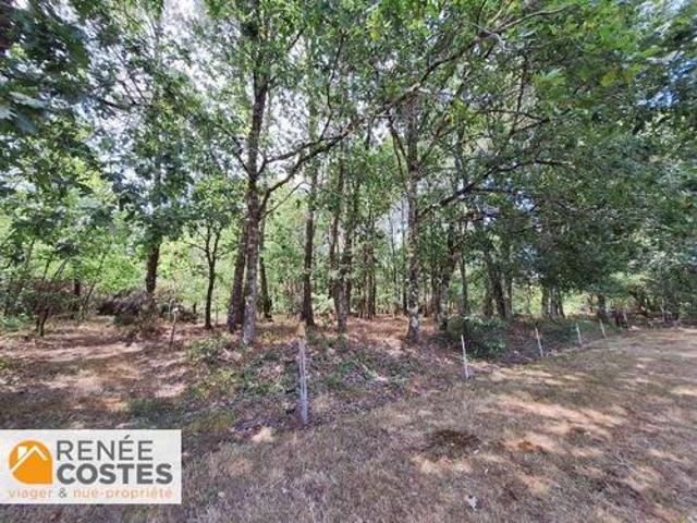 Vente Maison 5 pièces 178 m2 Biscarrosse