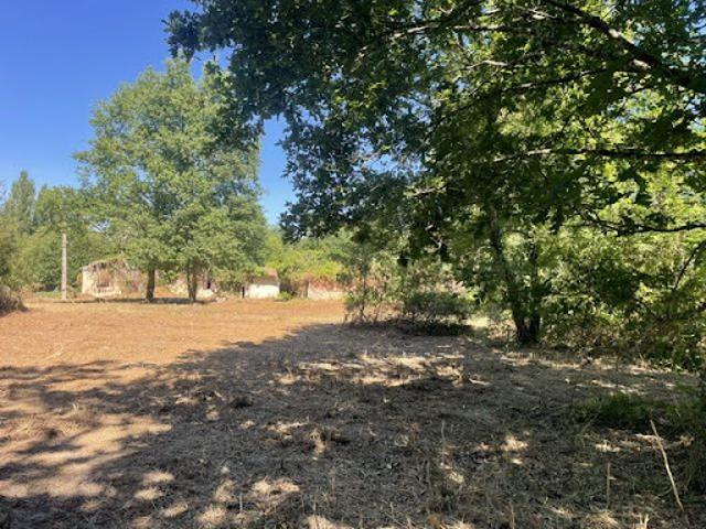 Vente Maison 5 pièces 170 m2 Bazas