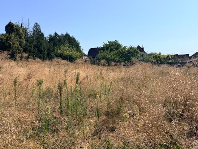 Vente Maison 5 pièces 187 m2 Schnersheim