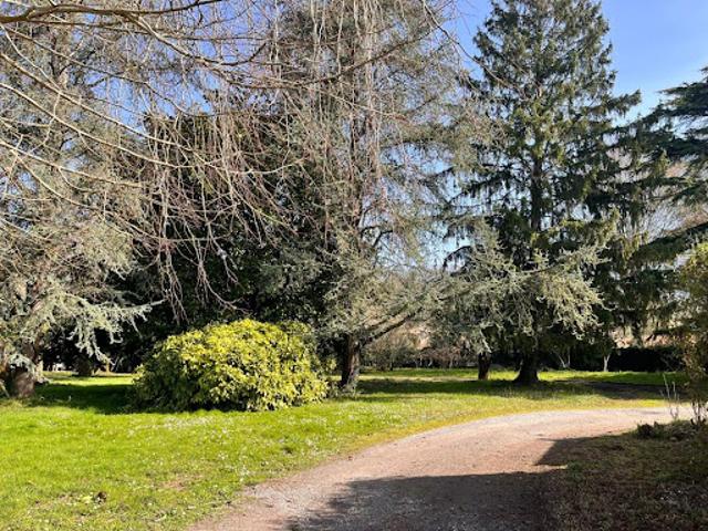 Vente Maison 5 pièces 195 m2 Sorde l'Abbaye